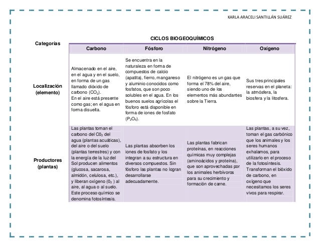 Ciclos biogeoquímicos