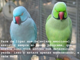 Pare de ligar sua televisão emocional e assistir sempre ao mesmo programa, que mostra como você sofreu com determinada perda: isso o estará apenas envenenando, e nada mais. 