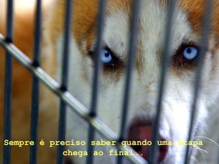 Sempre é preciso saber quando uma etapa chega ao final..  