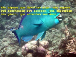 Não espere que devolvam algo, não espere que reconheçam seu esforço, que descubram seu gênio, que entendam seu amor. 