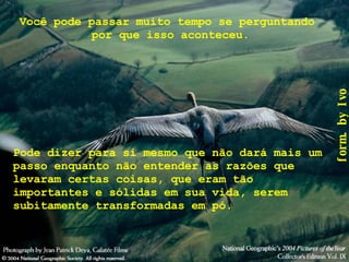 Você pode passar muito tempo se perguntando  por que isso aconteceu. Pode dizer para si mesmo que não dará mais um passo enquanto não entender as razões que levaram certas coisas, que eram tão importantes e sólidas em sua vida, serem subitamente transformadas em pó. 