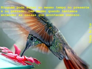 Ninguém pode estar ao mesmo tempo no presente e no passado, nem mesmo quando tentamos entender as coisas que acontecem conosco . 