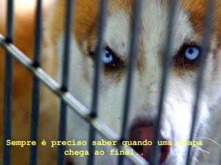 Sempre é preciso saber quando uma etapa chega ao final..  