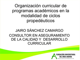 Organización curricular de programas académicos en la modalidad de ciclos propedéuticos JAIRO SÁNCHEZ CAMARGO CONSULTOR EN ASEGURAMIENTO DE LA CALIDAD Y  DESARROLLO CURRICULAR 