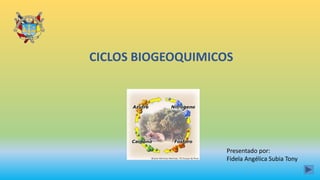 CICLOS BIOGEOQUIMICOS
Presentado por:
Fidela Angélica Subia Tony
 