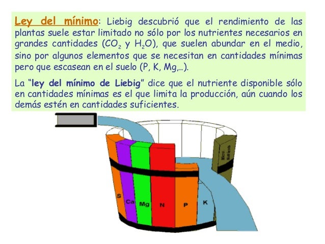 Ley Del Minimo O Principio De Liebig es.slideshare.net