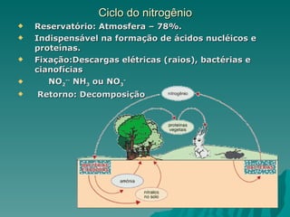 Ciclo do nitrogênio Reservatório: Atmosfera – 78%. Indispensável na formação de ácidos nucléicos e proteínas. Fixação:Descargas elétricas (raios), bactérias e cianofícias NO 2 --  NH 3  ou NO 3 - Retorno: Decomposição  