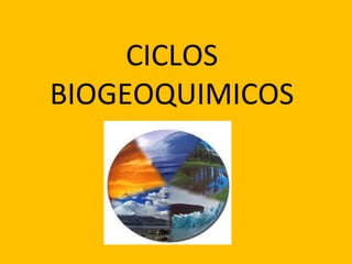 CICLOS
BIOGEOQUIMICOS
 
