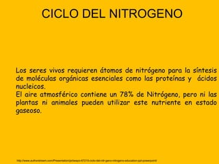 CICLO DEL NITROGENO



Los seres vivos requieren átomos de nitrógeno para la síntesis
de moléculas orgánicas esenciales como las proteínas y ácidos
nucleicos.
El aire atmosférico contiene un 78% de Nitrógeno, pero ni las
plantas ni animales pueden utilizar este nutriente en estado
gaseoso.




http://www.authorstream.com/Presentation/jarbeapo-67215-ciclo-del-nitr-geno-nitrogeno-education-ppt-powerpoint/
 