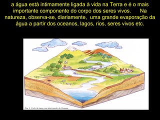 a água está intimamente ligada à vida na Terra e é o mais
importante componente do corpo dos seres vivos. Na
natureza, observa-se, diariamente, uma grande evaporação da
água a partir dos oceanos, lagos, rios, seres vivos etc.
 