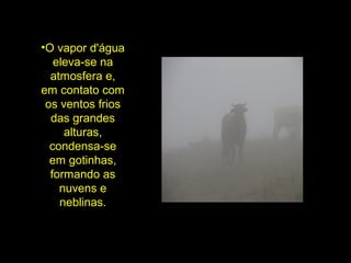 •O vapor d'água
eleva-se na
atmosfera e,
em contato com
os ventos frios
das grandes
alturas,
condensa-se
em gotinhas,
formando as
nuvens e
neblinas.
 