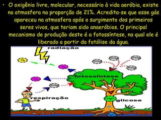 • O oxigênio livre, molecular, necessário à vida aeróbia, existe
na atmosfera na proporção de 21%. Acredita-se que esse gás
apareceu na atmosfera após o surgimento dos primeiros
seres vivos, que teriam sido anaeróbios. O principal
mecanismo de produção deste é a fotossíntese, na qual ele é
liberado a partir da fotólise da água.
 