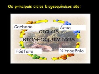 Os principais ciclos biogeoquímicos são:
 