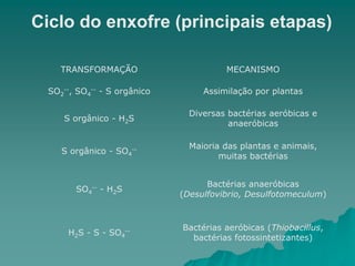 TRANSFORMAÇÃO MECANISMO
SO2
--, SO4
-- - S orgânico Assimilação por plantas
S orgânico - H2S
Diversas bactérias aeróbicas e
anaeróbicas
S orgânico - SO4
-- Maioria das plantas e animais,
muitas bactérias
SO4
-- - H2S
Bactérias anaeróbicas
(Desulfovibrio, Desulfotomeculum)
H2S - S - SO4
-- Bactérias aeróbicas (Thiobacillus,
bactérias fotossintetizantes)
Ciclo do enxofre (principais etapas)
 