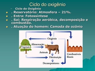 Ciclo do oxigênio
– Ciclo do Oxigênio
 . Reservatório: Atmosfera – 21%.
 . Entra: Fotossíntese
 . Sai: Respiração aeróbica, decomposição e
combustão.
 . Atuação do homem: Camada de ozônio
 