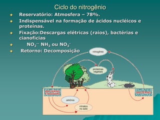 Ciclo do nitrogênio
 Reservatório: Atmosfera – 78%.
 Indispensável na formação de ácidos nucléicos e
proteínas.
 Fixação:Descargas elétricas (raios), bactérias e
cianofícias
 NO2
-- NH3 ou NO3
-
 Retorno: Decomposição
 