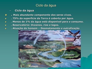 Ciclo da água
– Ciclo da água
 . Mais abundante componente dos seres vivos.
 . 75% da superfície da Terra é coberta por água.
 . Menos de 1% da água está disponível para o consumo.
 . Reservatório: Oceanos, rios e lagos.
 . Atuação do homem – Desmatamento e eutrofização
 