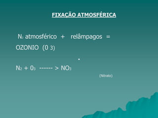 FIXAÇÃO ATMOSFÉRICA
N2 atmosférico + relâmpagos =
OZONIO (0 3)
N2 + 03 ------ > NO3
(Nitrato)
•
 