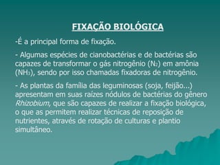 FIXAÇÃO BIOLÓGICA
-É a principal forma de fixação.
- Algumas espécies de cianobactérias e de bactérias são
capazes de transformar o gás nitrogênio (N2) em amônia
(NH3), sendo por isso chamadas fixadoras de nitrogênio.
- As plantas da família das leguminosas (soja, feijão...)
apresentam em suas raízes nódulos de bactérias do gênero
Rhizobium, que são capazes de realizar a fixação biológica,
o que as permitem realizar técnicas de reposição de
nutrientes, através de rotação de culturas e plantio
simultâneo.
 
