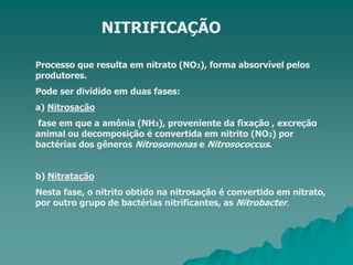 NITRIFICAÇÃO
Processo que resulta em nitrato (NO3), forma absorvível pelos
produtores.
Pode ser dividido em duas fases:
a) Nitrosação
fase em que a amônia (NH3), proveniente da fixação , excreção
animal ou decomposição é convertida em nitrito (NO2) por
bactérias dos gêneros Nitrosomonas e Nitrosococcus.
b) Nitratação
Nesta fase, o nitrito obtido na nitrosação é convertido em nitrato,
por outro grupo de bactérias nitrificantes, as Nitrobacter.
 
