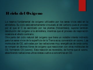 La reserva fundamental de oxígeno utilizable por los seres vivos está en la
atmósfera. Su ciclo está estrechamentevinculado al del carbono puesel proceso
por el que el C es asimilado por las plantas (fotosíntesis), supone también
devolución del oxígeno a la atmósfera, mientras que el proceso de respiración
ocasionael efecto contrario.
Otra parte del ciclo natural del oxígeno que tiene un notable interés indirecto
para los seres vivos de la superficie de la Tierra es su conversión en ozono. Las
moléculas de O2, activadas por las radiaciones muy energéticas de onda corta,
se rompen en átomos libres de oxígeno que reaccionan con otras moléculas de
O2, formando O3 (ozono). Esta reacción es reversible, de forma que el ozono,
absorbiendo radiacionesultravioletasvuelveaconvertirseen O2.
El ciclo del Oxigeno
 