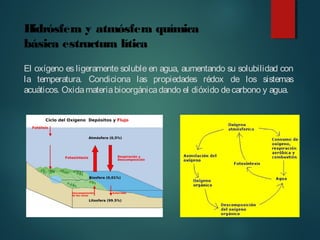 Hidrósfera y atmósfera química
básica estructura lítica
El oxígeno es ligeramente soluble en agua, aumentando su solubilidad con
la temperatura. Condiciona las propiedades rédox de los sistemas
acuáticos. Oxidamateriabioorgánicadando el dióxido decarbono y agua.
 