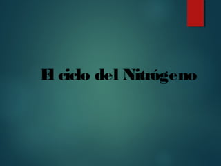 El ciclo del Nitrógeno
 