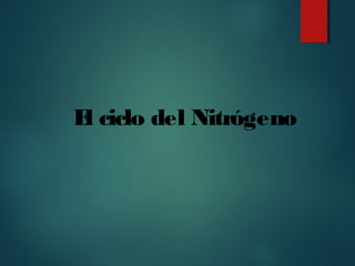 El ciclo del Nitrógeno
 