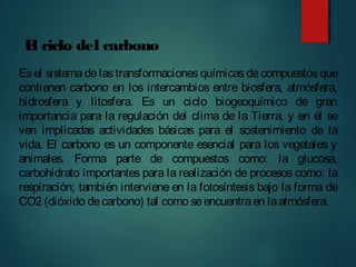 Es el sistema de las transformaciones químicas de compuestos que
contienen carbono en los intercambios entre biosfera, atmósfera,
hidrosfera y litosfera. Es un ciclo biogeoquímico de gran
importancia para la regulación del clima de la Tierra, y en él se
ven implicadas actividades básicas para el sostenimiento de la
vida. El carbono es un componente esencial para los vegetales y
animales. Forma parte de compuestos como: la glucosa,
carbohidrato importantes para la realización de procesos como: la
respiración; también interviene en la fotosíntesis bajo la forma de
CO2 (dióxido decarbono) tal como seencuentraen laatmósfera.
El ciclo del carbono
 