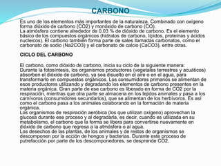CARBONO
Es uno de los elementos más importantes de la naturaleza. Combinado con oxígeno
forma dióxido de carbono (CO2) y monóxido de carbono (CO).
La atmósfera contiene alrededor de 0.03 % de dióxido de carbono. Es el elemento
básico de los compuestos orgánicos (hidratos de carbono, lípidos, proteínas y ácidos
nucleicos). El carbono también forma parte de sales llamadas carbonatos, como el
carbonato de sodio (Na2CO3) y el carbonato de calcio (CaCO3), entre otras.
CICLO DEL CARBONO
El carbono, como dióxido de carbono, inicia su ciclo de la siguiente manera:
Durante la fotosíntesis, los organismos productores (vegetales terrestres y acuáticos)
absorben el dióxido de carbono, ya sea disuelto en el aire o en el agua, para
transformarlo en compuestos orgánicos. Los consumidores primarios se alimentan de
esos productores utilizando y degradando los elementos de carbono presentes en la
materia orgánica. Gran parte de ese carbono es liberado en forma de CO2 por la
respiración, mientras que otra parte se almacena en los tejidos animales y pasa a los
carnívoros (consumidores secundarios), que se alimentan de los herbívoros. Es así
como el carbono pasa a los animales colaborando en la formación de materia
orgánica.
Los organismos de respiración aeróbica (los que utilizan oxígeno) aprovechan la
glucosa durante ese proceso y al degradarla, es decir, cuando es utilizada en su
metabolismo, el carbono que la forma se libera para convertirse nuevamente en
dióxido de carbono que regresa a la atmósfera o al agua.
Los desechos de las plantas, de los animales y de restos de organismos se
descomponen por la acción de hongos y bacterias. Durante este proceso de
putrefacción por parte de los descomponedores, se desprende CO2.
 