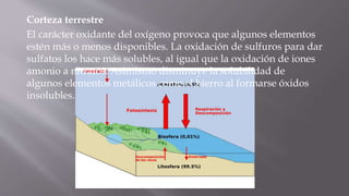 Corteza terrestre
El carácter oxidante del oxígeno provoca que algunos elementos
estén más o menos disponibles. La oxidación de sulfuros para dar
sulfatos los hace más solubles, al igual que la oxidación de iones
amonio a nitratos. Asimismo disminuye la solubilidad de
algunos elementos metálicos como el hierro al formarse óxidos
insolubles.
 