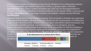 Los seres vivos cuentan con una gran proporción de nitrógeno en su composición química.
El nitrógeno oxidado que reciben como nitrato (NO3–) a grupos amino, reducidos
(asimilación). Para volver a contar con nitrato hace falta que los descomponedores lo
extraigan de la biomasa dejándolo en la forma reducida de ion amonio (NH4+), proceso que
se llama amonificación; y que luego el amonio sea oxidado a nitrato, proceso llamado
nitrificación.
Así parece que se cierra el ciclo biológico esencial. Pero el amonio y el nitrato son sustancias
extremadamente solubles, que son arrastradas fácilmente por la escorrentía y la infiltración,
lo que tiende a llevarlas al mar. Al final todo el nitrógeno atmosférico habría terminado, tras
su conversión, disuelto en el mar. Los océanos serían ricos en nitrógeno, pero los
continentes estarían prácticamente desprovistos de él, convertidos en desiertos biológicos,
si no existieran otros dos procesos, mutuamente simétricos, en los que está implicado el
nitrógeno atmosférico (N2). Se trata de la fijación de nitrógeno, que origina compuestos
solubles a partir del N2, y la desnitrificación, una forma de respiración anaerobia que
devuelve N2 a la atmósfera. De esta manera se mantiene un importante depósito de
nitrógeno en el aire (donde representa un 78% en volumen).
 