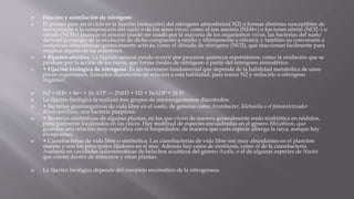  Fijación y asimilación de nitrógeno
 El primer paso en el ciclo es la fijación (reducción) del nitrógeno atmosférico( N2) a formas distintas susceptibles de
incorporarse a la composición del suelo o de los seres vivos, como el ion amonio (NH4+) o los iones nitrito (NO2–) o
nitrato (NO3–) (aunque el amonio puede ser usado por la mayoría de los organismos vivos, las bacterias del suelo
derivan la energía de la oxidación de dicho compuesto a nitrito y últimamente a nitrato); y también su conversión a
sustancias atmosféricas químicamente activas, como el dióxido de nitrógeno (NO2), que reaccionan fácilmente para
originar alguna de las anteriores.
 • Fijación abiótica. La fijación natural puede ocurrir por procesos químicos espontáneos, como la oxidación que se
produce por la acción de los rayos, que forma óxidos de nitrógeno a partir del nitrógeno atmosférico.
 • Fijación biológica de nitrógeno. Es un fenómeno fundamental que depende de la habilidad metabólica de unos
pocos organismos, llamados diazótrofos en relación a esta habilidad, para tomar N2 y reducirlo a nitrógeno
orgánico:
 N2 + 8H+ + 8e− + 16 ATP → 2NH3 + H2 + 16ADP + 16 Pi
 La fijación biológica la realizan tres grupos de microorganismos diazotrofos:
 • Bacterias gramnegativas de vida libre en el suelo, de géneros como Azotobacter, Klebsiella o el fotosintetizador
Rhodospirillum, una bacteria purpúrea.
 • Bacterias simbióticas de algunas plantas, en las que viven de manera generalmente endo simbiótica en nódulos,
principalmente localizados en las raíces. Hay multitud de especies encuadradas en el género Rhizobium, que
guardan una relación muy específica con el hospedador, de manera que cada especie alberga la suya, aunque hay
excepciones.
 • Cianobacterias de vida libre o simbiótica. Las cianobacterias de vida libre son muy abundantes en el plancton
marino y son los principales fijadores en el mar. Además hay casos de simbiosis, como el de la cianobacteria
Anabaena en cavidades subestomáticas de helechos acuáticos del género Azolla, o el de algunas especies de Nostoc
que crecen dentro de antoceros y otras plantas.
 La fijación biológica depende del complejo enzimático de la nitrogenasa.
 