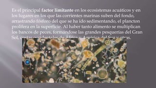 Es el principal factor limitante en los ecosistemas acuáticos y en
los lugares en los que las corrientes marinas suben del fondo,
arrastrando fósforo del que se ha ido sedimentando, el plancton
prolifera en la superficie. Al haber tanto alimento se multiplican
los bancos de peces, formándose las grandes pesquerías del Gran
Sol, costas occidentales de África y América del Sur y otras.
 