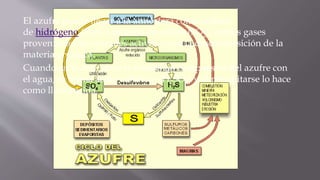 El azufre puede llegar a la atmósfera como sulfuro
de hidrógeno (H2S) o dióxido de azufre (SO2), ambos gases
provenientes de volcanes activos y por la descomposición de la
materia orgánica.
Cuando en la atmósfera se combinan compuestos del azufre con
el agua, se forma ácido sulfúrico (H2SO4) y al precipitarse lo hace
como lluvia ácida.
 