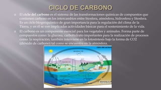  El ciclo del carbono es el sistema de las transformaciones químicas de compuestos que
contienen carbono en los intercambios entre biosfera, atmósfera, hidrosfera y litosfera.
Es un ciclo biogeoquímico de gran importancia para la regulación del clima de la
Tierra, y en él se ven implicadas actividades básicas para el sostenimiento de la vida.
 El carbono es un componente esencial para los vegetales y animales. Forma parte de
compuestos como: la glucosa, carbohidrato importantes para la realización de procesos
como: la respiración; también interviene en la fotosíntesis bajo la forma de CO2
(dióxido de carbono) tal como se encuentra en la atmósfera.
 