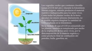 Los vegetales verdes que contienen clorofila
toman el CO2 del aire y durante la fotosíntesis
liberan oxígeno, además producen el material
nutritivo indispensable para los seres vivos.
Como todas las plantas verdes de la tierra
ejecutan ese mismo proceso diariamente, no
es posible siquiera imaginar la cantidad de
CO2 empleada en la fotosíntesis.
En la medida de que el CO2 es consumido por
las plantas, también es remplazado por medio
de la respiración de los seres vivos, por la
descomposición de la materia orgánica y
como producto final de combustión del
petróleo, hulla, gasolina, etc.
 