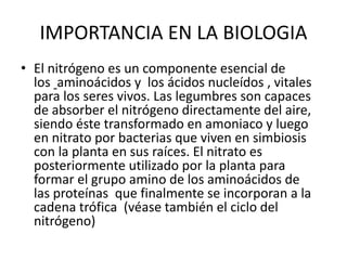 IMPORTANCIA EN LA BIOLOGIA
• El nitrógeno es un componente esencial de
los aminoácidos y los ácidos nucleídos , vitales
para los seres vivos. Las legumbres son capaces
de absorber el nitrógeno directamente del aire,
siendo éste transformado en amoniaco y luego
en nitrato por bacterias que viven en simbiosis
con la planta en sus raíces. El nitrato es
posteriormente utilizado por la planta para
formar el grupo amino de los aminoácidos de
las proteínas que finalmente se incorporan a la
cadena trófica (véase también el ciclo del
nitrógeno)
 