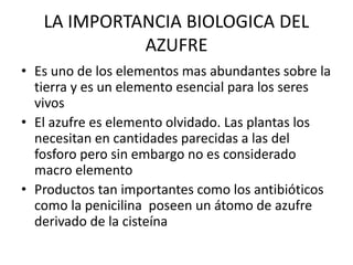 LA IMPORTANCIA BIOLOGICA DEL
AZUFRE
• Es uno de los elementos mas abundantes sobre la
tierra y es un elemento esencial para los seres
vivos
• El azufre es elemento olvidado. Las plantas los
necesitan en cantidades parecidas a las del
fosforo pero sin embargo no es considerado
macro elemento
• Productos tan importantes como los antibióticos
como la penicilina poseen un átomo de azufre
derivado de la cisteína
 