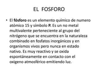 EL FOSFORO
• El fósforo es un elemento químico de numero
atómico 15 y símbolo P. Es un no metal
multivalente perteneciente al grupo del
nitrógeno que se encuentra en la naturaleza
combinado en fosfatos inorgánicos y en
organismos vivos pero nunca en estado
nativo. Es muy reactivo y se oxida
espontáneamente en contacto con el
oxigeno atmosférico emitiendo luz.
 