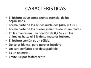 CARACTERISTICAS
• El fósforo es un componente esencial de los
organismos.
• Forma parte de los ácidos nucleídos (ADN y ARN).
• Forma parte de los huesos y dientes de los animales.
• En las plantas en una porción de 0,2 % y en los
animales hasta el 1 % de su masa es fósforo.
• El fósforo común es un sólido.
• De color blanco, pero puro es incoloro.
• Un característico olor desagradable.
• Es un no metal.
• Emite luz por fosforecente
 