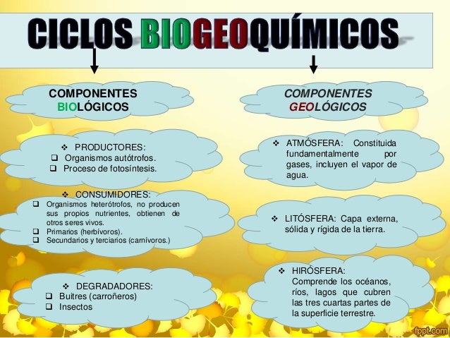 Ciclos Biogeoquimicos Ciclos Biogeoquimicos