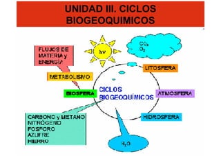UNIDAD III. CICLOS
BIOGEOQUIMICOS
 