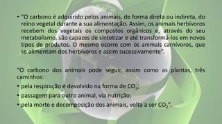 • “O carbono é adquirido pelos animais, de forma direta ou indireta, do
reino vegetal durante a sua alimentação. Assim, os animais herbívoros
recebem dos vegetais os compostos orgânicos e, através do seu
metabolismo, são capazes de sintetizar e até transformá-los em novos
tipos de produtos. O mesmo ocorre com os animais carnívoros, que
se alimentam dos herbívoros e assim sucessivamente”.
“O carbono dos animais pode seguir, assim como as plantas, três
caminhos:
• pela respiração é devolvido na forma de CO2;
• passagem para outro animal, via nutrição;
• pela morte e decomposição dos animais, volta a ser CO2”.
 