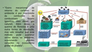 • “Outro mecanismo de
retorno do carbono ao
ambiente é por intermédio
da combustão de
combustíveis fosséis
(gasolina, óleo diesel, gás
natural). Além desse, a
queima de florestas é uma
outra forma de devolução,
mas vale ressaltar que esse
método pode acarretar
sérios danos ao ambiente,
ocasionando grandes
variações no ecossistema
global do planeta”.
 