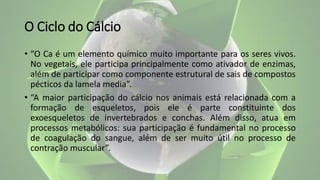 O Ciclo do Cálcio
• “O Ca é um elemento químico muito importante para os seres vivos.
No vegetais, ele participa principalmente como ativador de enzimas,
além de participar como componente estrutural de sais de compostos
pécticos da lamela media”.
• “A maior participação do cálcio nos animais está relacionada com a
formação de esqueletos, pois ele é parte constituinte dos
exoesqueletos de invertebrados e conchas. Além disso, atua em
processos metabólicos: sua participação é fundamental no processo
de coagulação do sangue, além de ser muito útil no processo de
contração muscular”.
 