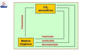 Matéria
Orgânica
Fotossíntese
respiração
combustão
decomposição
 
