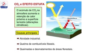 CO2 e EFEITO ESTUFA
Causas principais:
Queima de combustíveis fósseis.
Atividade industrial.
Queimadas e desmatamentos de áreas florestais.
O acúmulo de CO2 na
atmosfera aumenta a
retenção de calor
próximo a superfície
terrestre (alterações
climáticas).
 