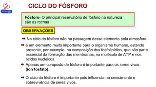 Fósforo- O principal reservatório de fósforo na natureza
são as rochas
OBSERVAÇÕES
é um elemento muito importante para o organismo humano, estando
presente, por exemplo, na composição dos fosfolipídios, que são parte
essencial da formação das membranas, na molécula de ATP e nos
ácidos nucleicos.
Apenas um composto de fósforo é importante para os seres vivos
(íon fosfato).
No ciclo do fósforo não há passagem desse elemento pela atmosfera.
O ciclo do fósforo é importante pois influencia no crescimento e
sobrevivência de seres vivos.
 