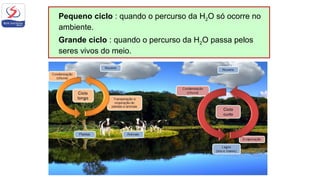 Pequeno ciclo : quando o percurso da H2O só ocorre no
ambiente.
Grande ciclo : quando o percurso da H2O passa pelos
seres vivos do meio.
 